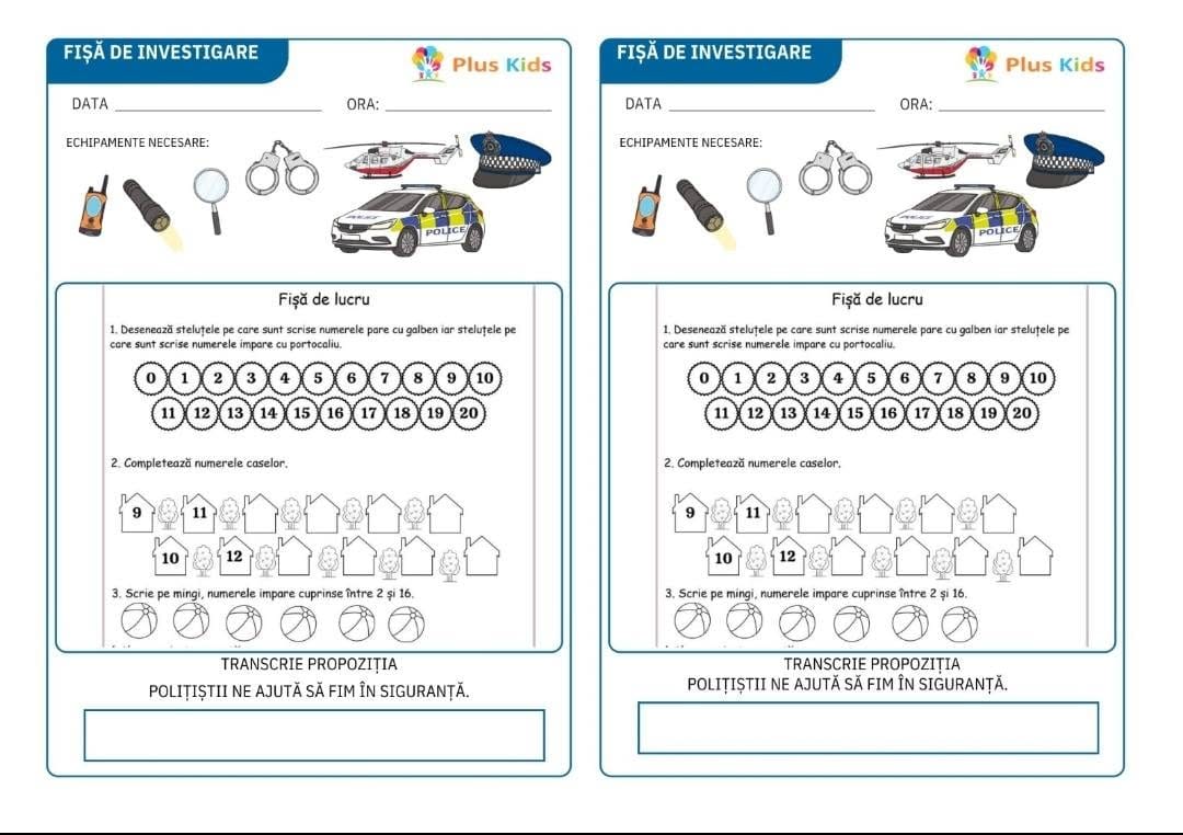 Fotografie de la activitate — Fișe educaționale gratuite pentru părinți și profesori